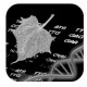 Apple Chlorotic Leafspot Virus RNA PCR