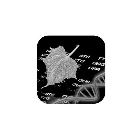 Apple Mosaic Virus RNA PCR