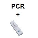 PCR en combinación con Detección de Dipstick de Flujo Lateral