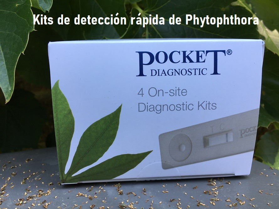 Kits de detección rápida de Phytophthora