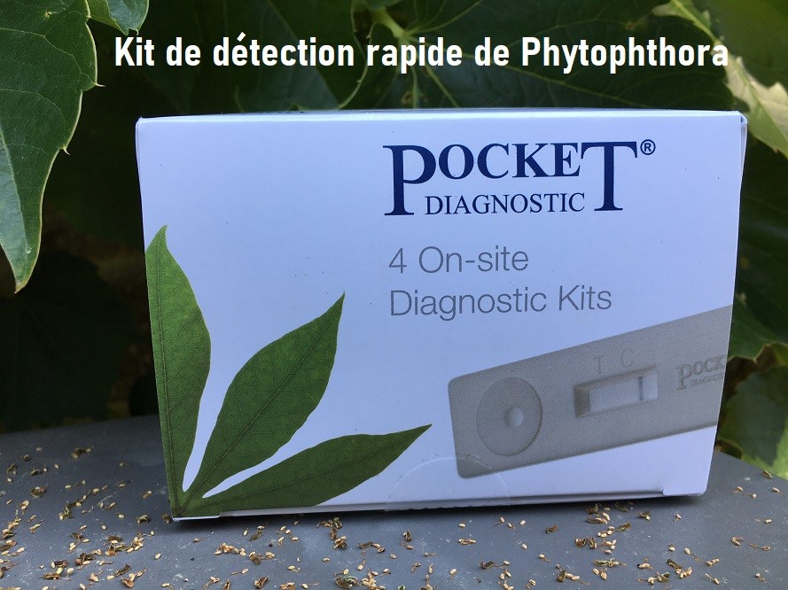 Kit de Detection Rapide de Phytophthora