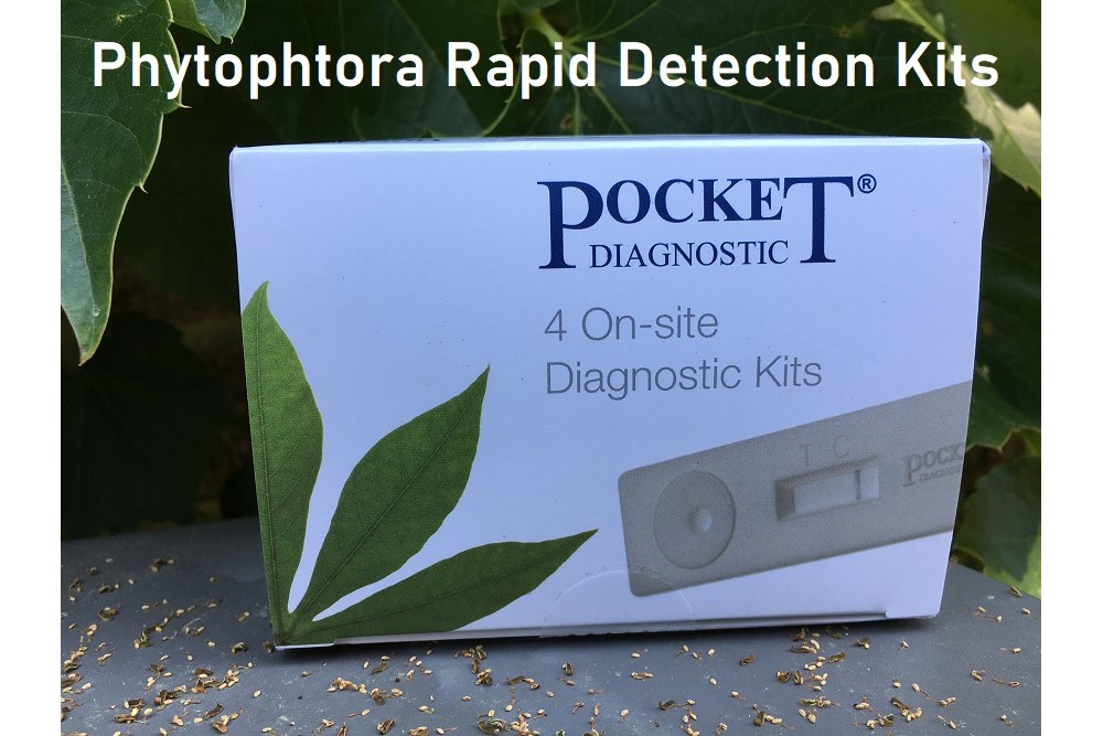 Phytophthora rapid detection kits